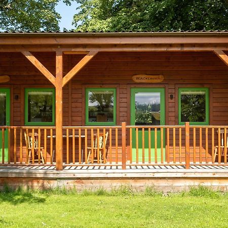 Marcassie Farm Lodges - Birch Studio Forres Exterior photo